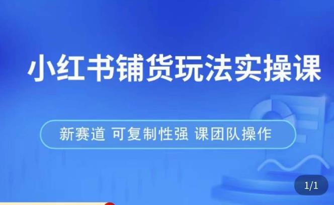 小红书铺货玩法实操课，流量大，竞争小，非常好做，新赛道，可复制性强，可团队操作-买得值资源库