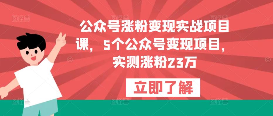 公众号涨粉变现实战项目课，5个公众号变现项目，实测涨粉23万-买得值资源库