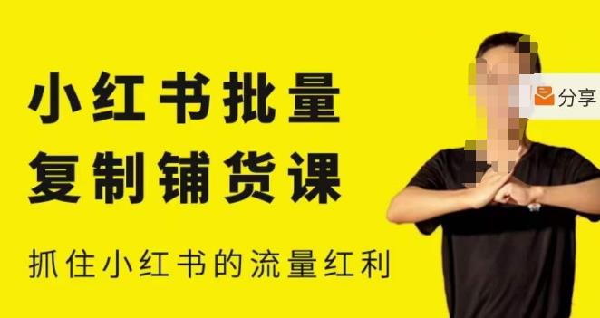 张宾·小红书批量复制铺货课，小红书0-1快速起号变现玩法，抓住小红书的流量红利（更新2023年3月）-买得值资源库