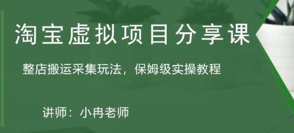 淘宝虚拟整店搬运采集玩法分享课：整店搬运采集玩法，保姆级实操教程-买得值资源库