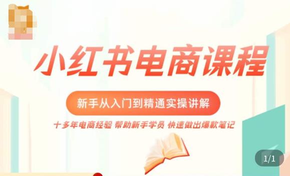小红书电商新手入门到精通实操课，从入门到精通做爆款笔记，开店运营-买得值资源库