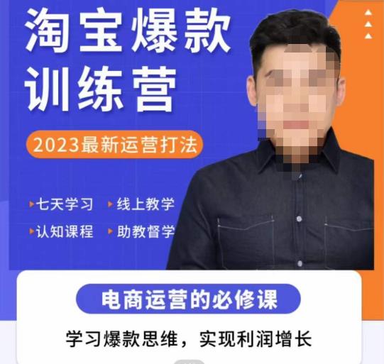 爱上黄昏·淘宝爆款训练营，2023最新运营打法，学习爆款思维，实现利润增长-买得值资源库