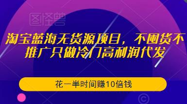 淘宝蓝海无货源项目，不囤货不推广只做冷门高利润代发，花一半时间赚10倍钱-买得值资源库