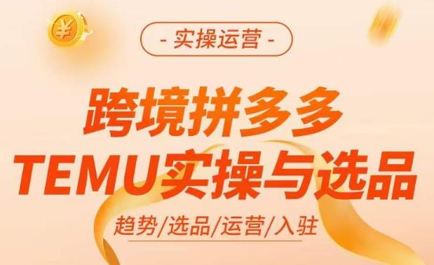 跨境拼多多TEMU实操与选品，​掌握平台运营方法技巧，选品避坑12条标准，爆款的底层思路等-买得值资源库