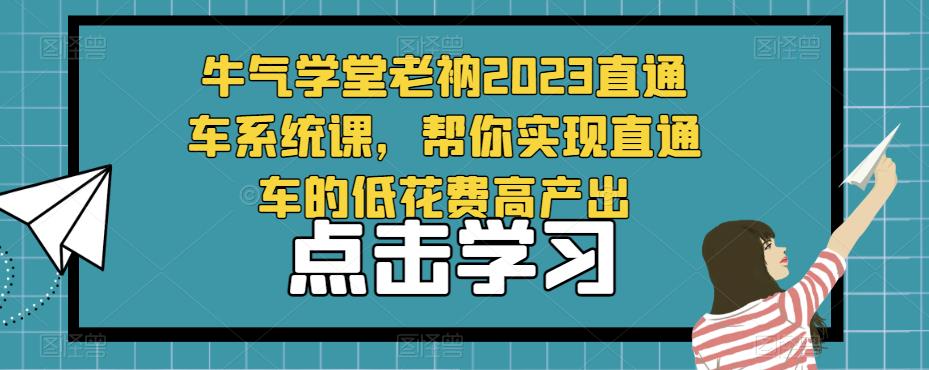 牛气学堂老衲2023直通车系统课，帮你实现直通车的低花费高产出-买得值资源库