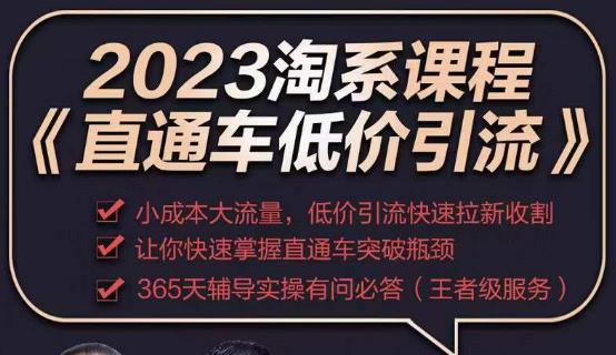 2023直通车低价引流玩法课程，小成本大流量，低价引流快速拉新收割，让你快速掌握直通车突破瓶颈-买得值资源库