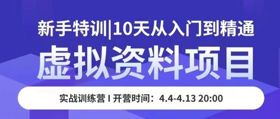 虚拟资料项目新手特训，10天从入门到精通，保姆级实操教学-买得值资源库