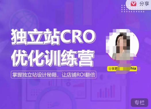 独立站CRO优化训练营，掌握独立站设计秘籍，打造高转化的独立站，让店铺ROI翻倍-买得值资源库