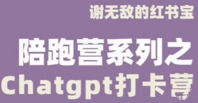 谢无敌ChatGPT打卡营，教你更好地使用ChatGPT来提高工作效率-买得值资源库