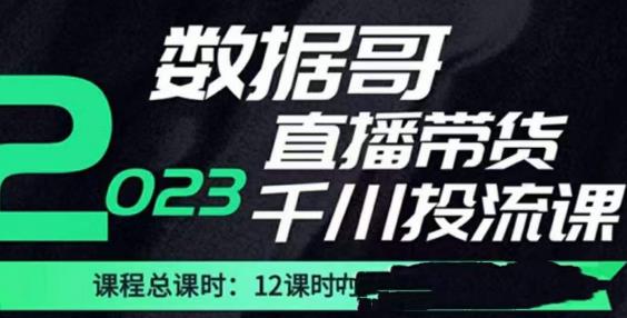 数据哥2023直播电商巨量千川付费投流实操课，快速掌握直播带货运营投放策略-买得值资源库