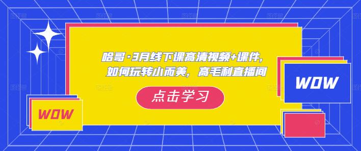 哈哥·3月线下实操课高清视频+课件，如何玩转小而美，高毛利直播间-买得值资源库