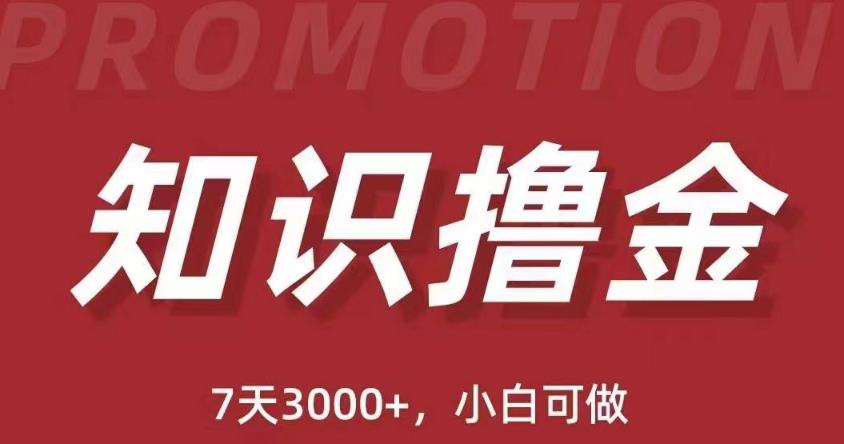 抖音知识撸金项目：简单粗暴日入1000+执行力强当天见收益(教程+资料)-买得值资源库