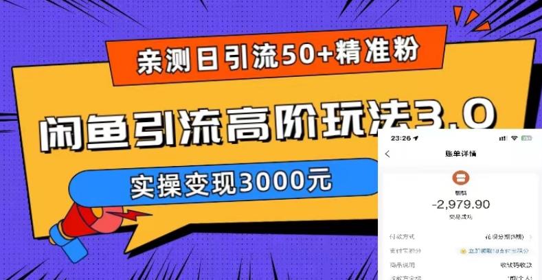 亲测日引50+精准粉，闲鱼引流高阶玩法3.0，实操变现3000元【揭秘】-买得值资源库