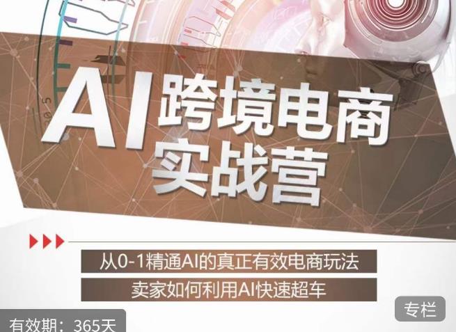白龙老师·AI跨境电商实战营：从0-1精通Al的真正有效电商玩法，卖家如何利用Al快速超车-买得值资源库