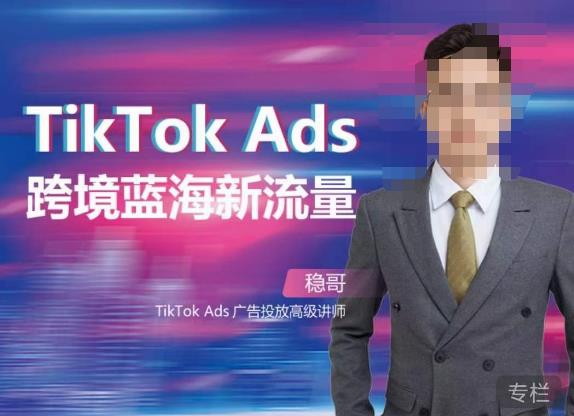 稳哥·如何投出高ROI的TikTok广告，开拓独立站卖家流量新蓝海-买得值资源库
