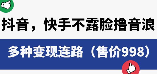 抖音快手不露脸撸音浪项目，多种变现连路（售价998）-买得值资源库