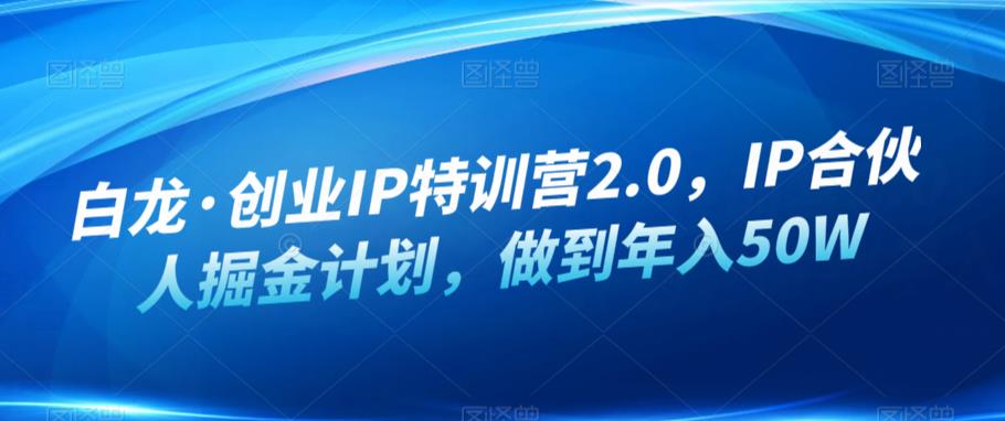 白龙·创业IP特训营2.0，IP合伙人掘金计划，做到年入50W-买得值资源库