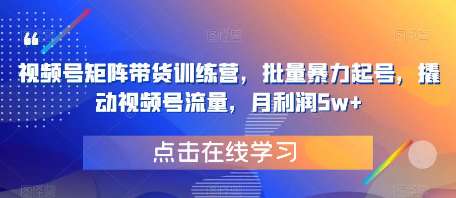 视频号矩阵带货训练营，批量暴力起号，撬动视频号流量，月利润5w+-买得值资源库