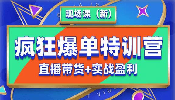 抖音短视频疯狂爆单特训营现场课（新）直播带货+实战案例-买得值资源库