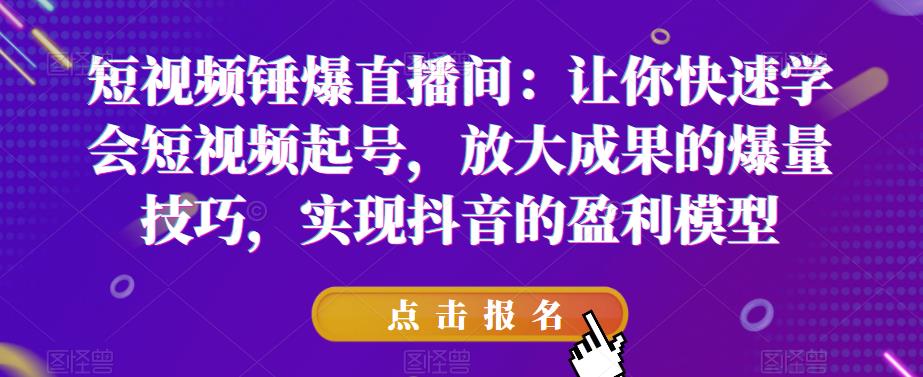 短视频锤爆直播间：让你快速学会短视频起号，放大成果的爆量技巧，实现抖音的盈利模型-买得值资源库