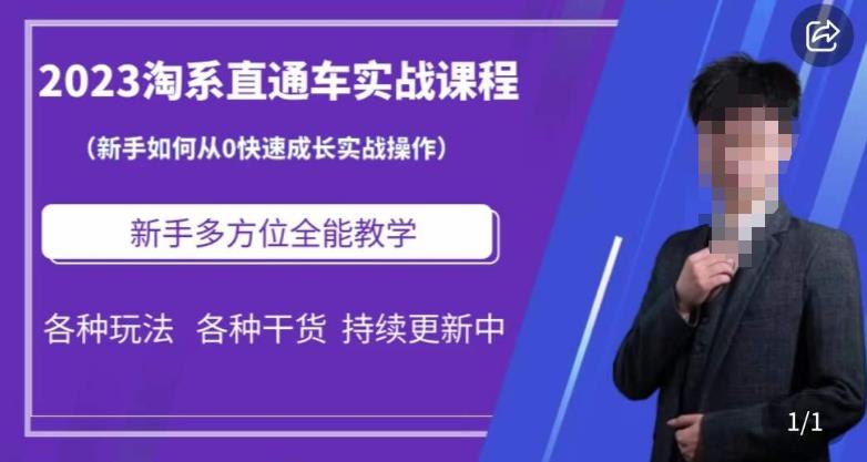 2023淘系直通车保姆式运营讲解，新手如何从0快速成长实战操作，新手多方位全能教学-买得值资源库