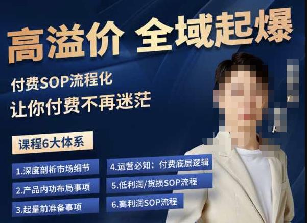 逸风-拼多多高溢价全域起爆，6大课程体系，付费玩法全套实操-买得值资源库