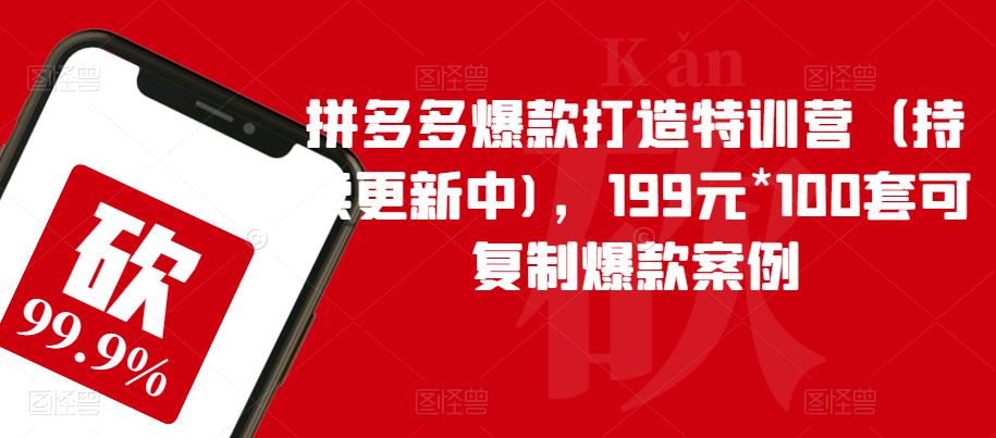 拼多多爆款打造特训营（持续更新中)，199元*100套可复制爆款案例-买得值资源库