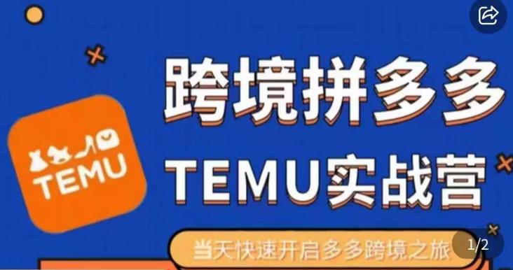 大鹏出海·拼多多跨境temu运营指导，开店注册+选品+核价上架，日出千单实战课-买得值资源库