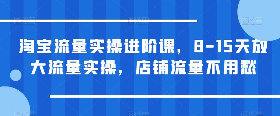 淘宝流量实操进阶课，8-15天放大流量实操，店铺流量不用愁-买得值资源库