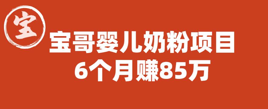 宝哥婴儿奶粉项目，6个月赚85w【图文非视频】【揭秘】-买得值资源库