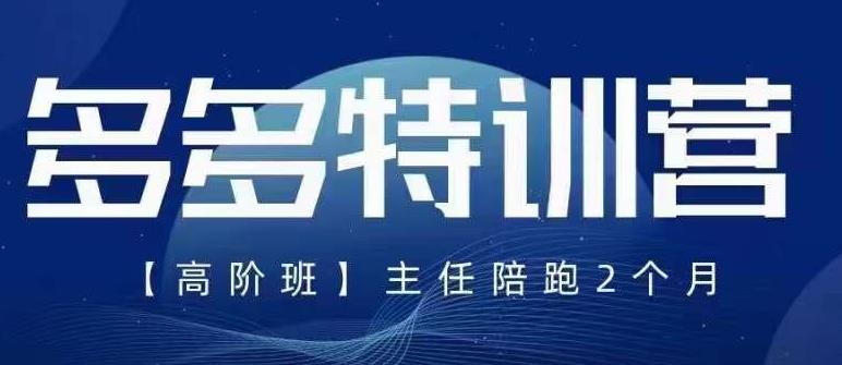 纪主任·5月最新多多特训营高阶班，玩法落地实操，多多全掌握-买得值资源库
