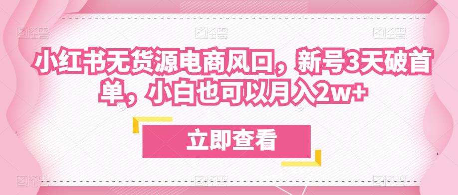 众狼电商余文小红书无货源电商风口，新号3天破首单，小白也可以月入2w+-买得值资源库