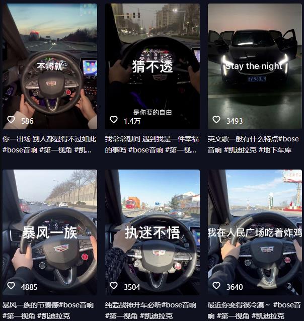 抖音开车视频项目，0基础操作，每天五分钟，月入1W+【揭秘】-买得值资源库