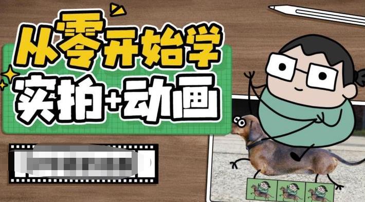 从零开始学实拍加动画，实拍加动画创意教程-买得值资源库