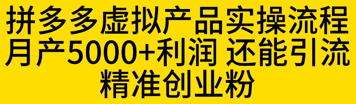 拼多多虚拟产品实操流程，月产5000+利润，还能引流精准创业粉【揭秘】-买得值资源库