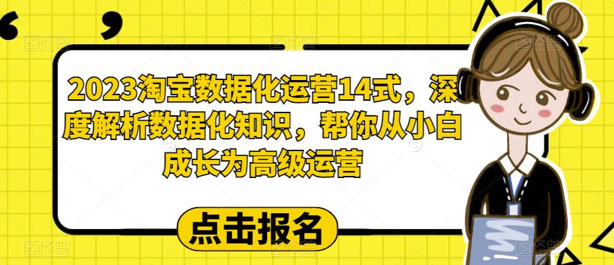 2023淘宝数据化运营14式，深度解析数据化知识，帮你从小白成长为高级运营-买得值资源库