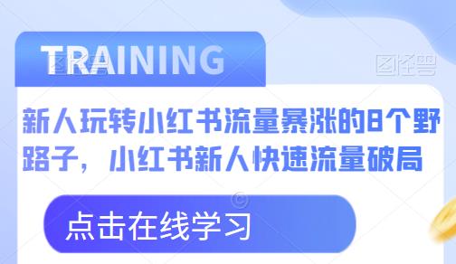新人玩转小红书流量暴涨的8个野路子，小红书新人快速流量破局-买得值资源库