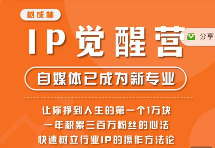 树成林·IP觉醒营，快速树立行业IP的操作方法论，让你赚到人生的第一个1万块-买得值资源库