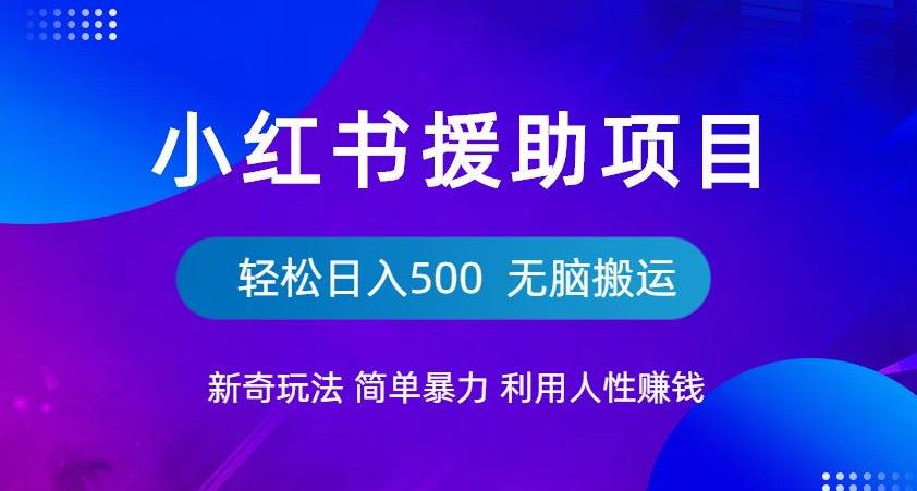 小红书援助项目新奇玩法，简单暴力，无脑搬运轻松日入500【揭秘】-买得值资源库