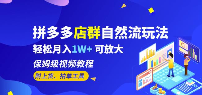拼多多店群自然流玩法，轻松月入1W+保姆级视频教程（附上货、拍单工具）-买得值资源库