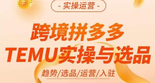 伍跃·跨境拼多多TEMU实操与选品，​趋势/选品/运营/入住（27节完整）-买得值资源库