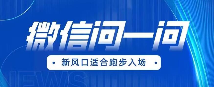 全网首发微信问一问新风口变现项目（价值1999元）【揭秘】-买得值资源库