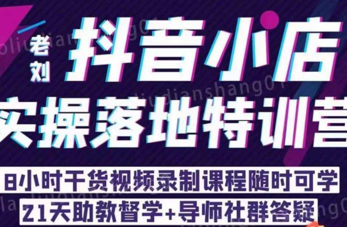 老刘·抖店商品卡流量，​抖音小店实操落地特训营，8小时干货视频录制课程随时可学-买得值资源库