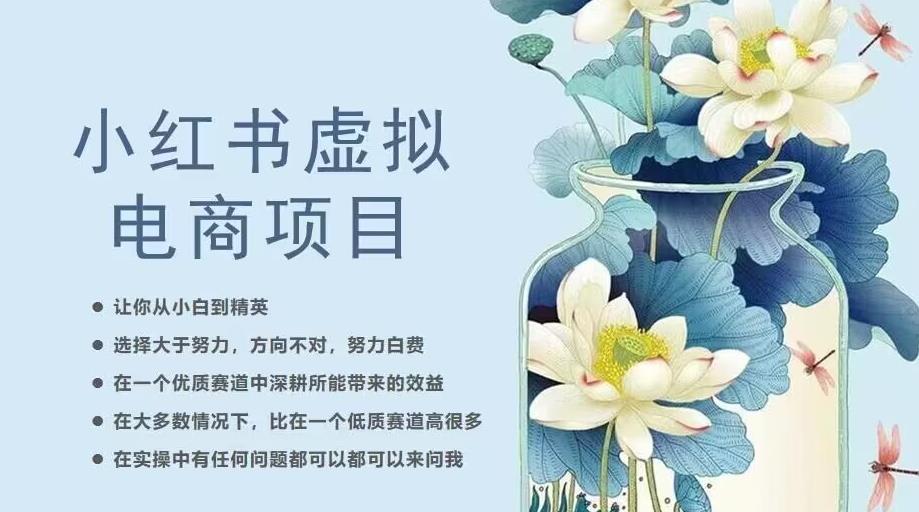 小红书虚拟电商从0到1，让你从小白到精英（20节实操课程）-买得值资源库