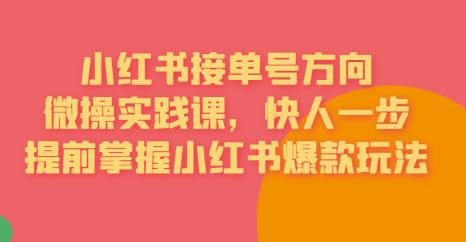 接单号方向·小红书微操实践课，快人一步，提前掌握小红书爆款玩法-买得值资源库