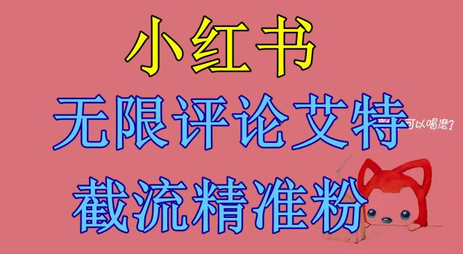 小红书无限评论艾特截流精准粉（软件+教程）-买得值资源库