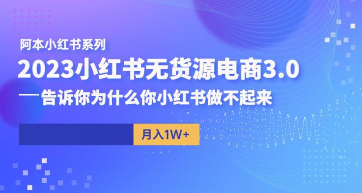 阿本小红书无货源电商3.0，告诉你为什么你小红书做不起来-买得值资源库
