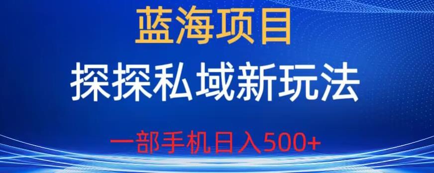 蓝海项目，探探私域新玩法，一部手机日入500+很轻松【揭秘】-买得值资源库