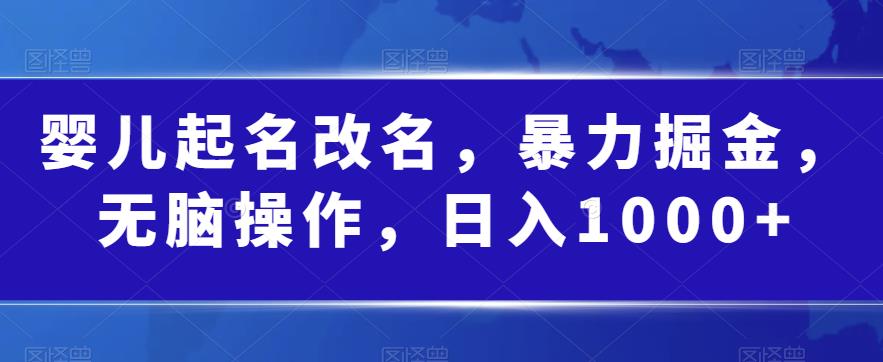 婴儿起名改名，暴力掘金，无脑操作，日入1000+【揭秘】-买得值资源库