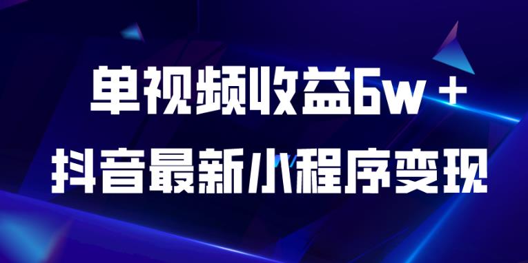 抖音最新小程序变现项目，单视频收益6w＋，小白可做【揭秘】-买得值资源库